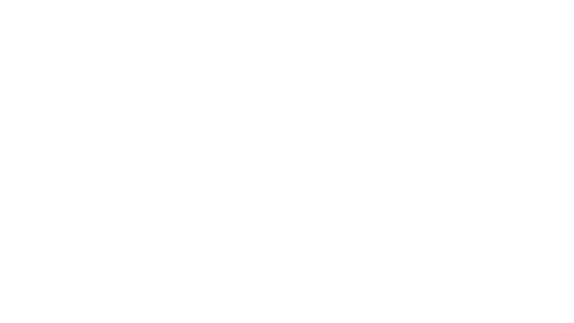 Colaborador 31