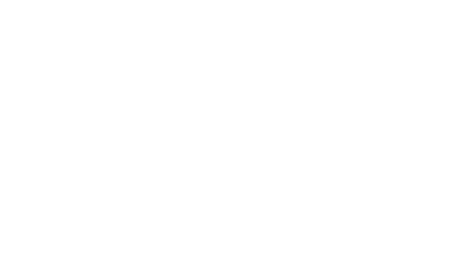 Colaborador 29