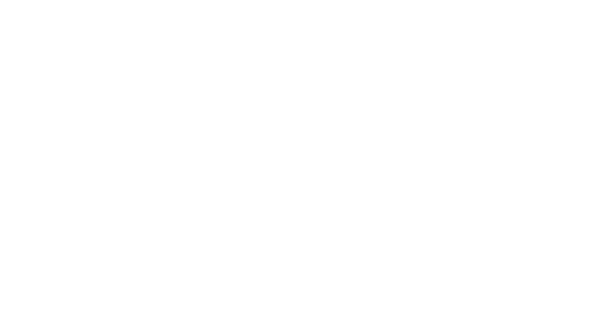 Colaborador 11