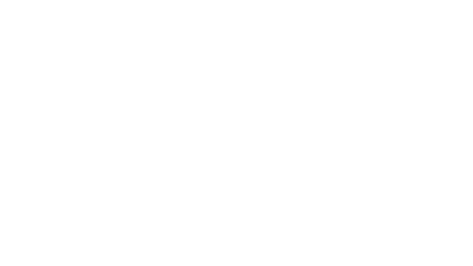 Colaborador 31