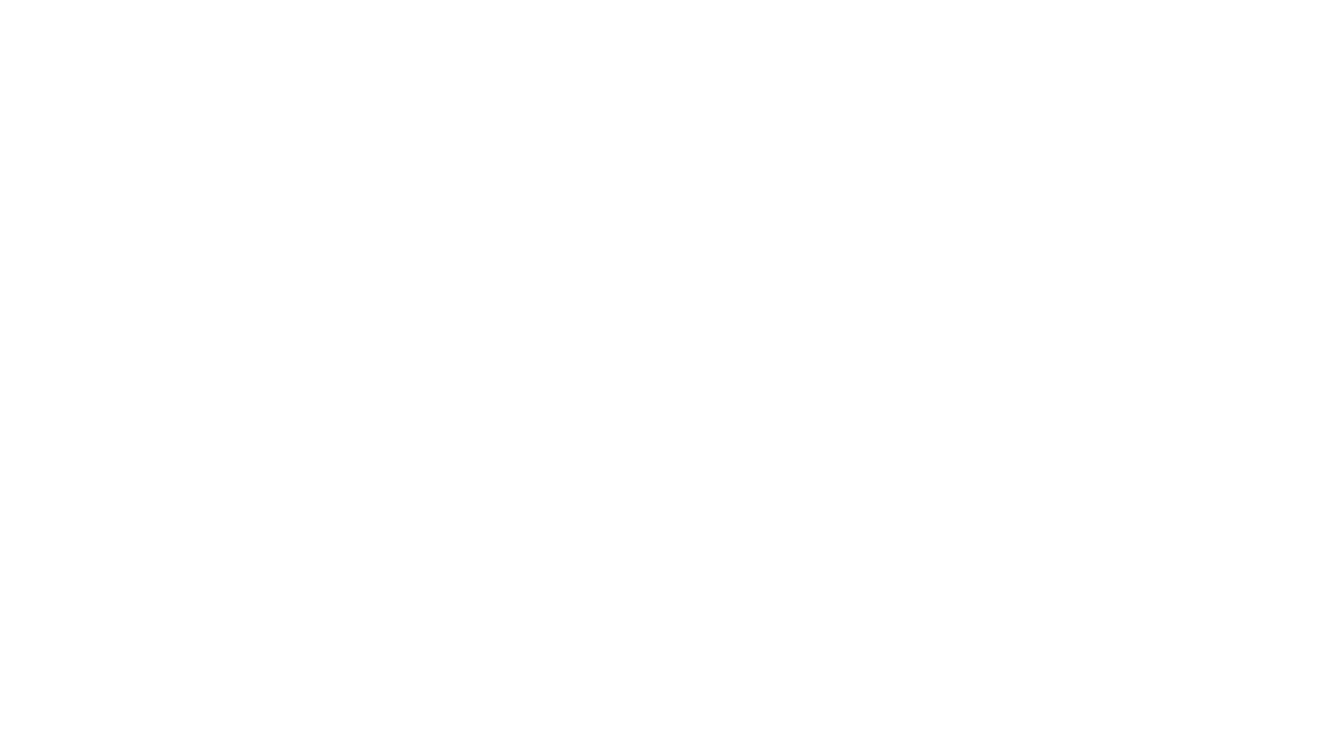 Colaborador 12